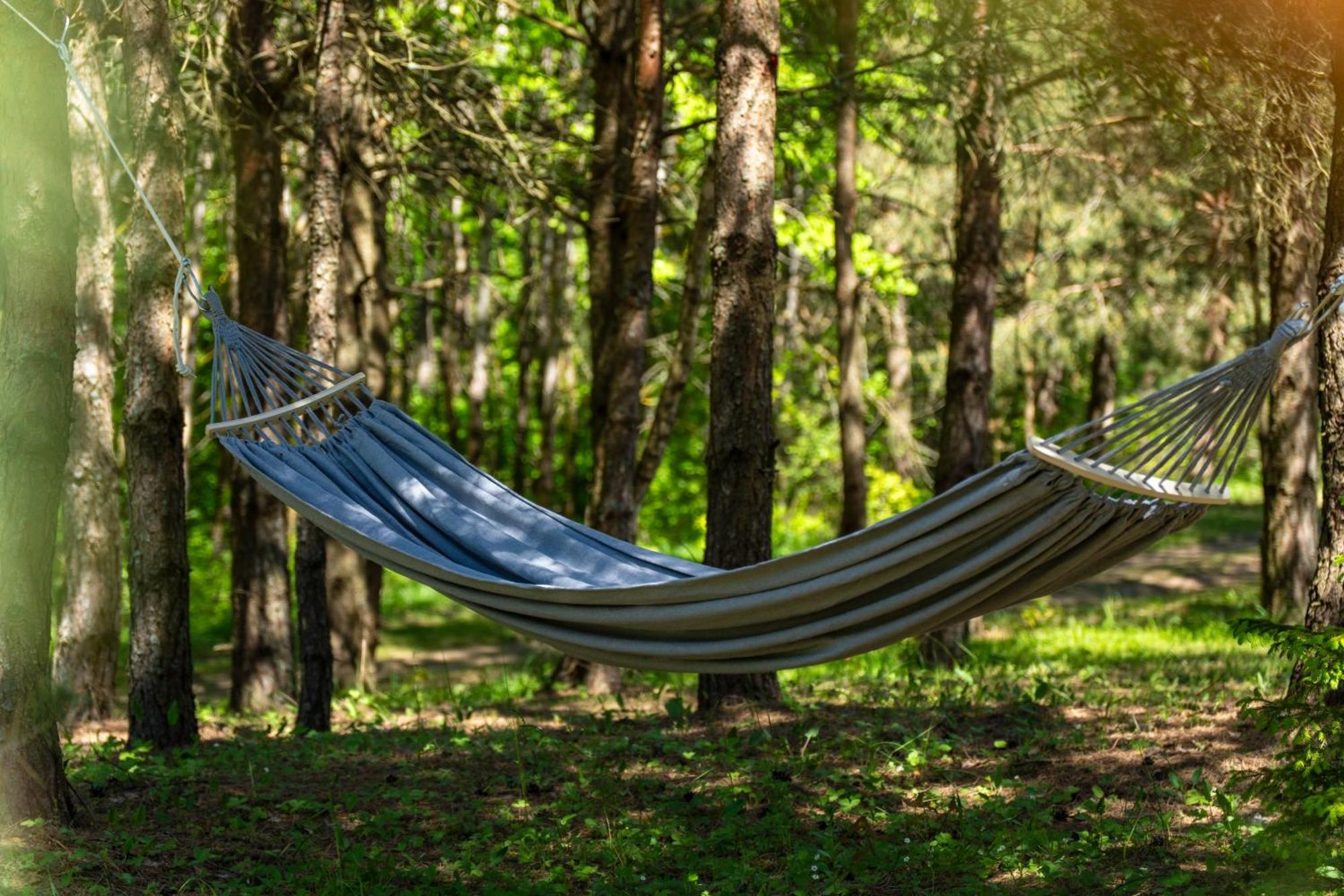 Chill Hill Kalviai